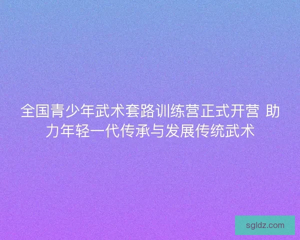 全国青少年武术套路训练营正式开营 助力年轻一代传承与发展传统武术