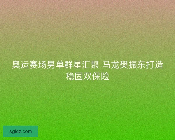 奥运赛场男单群星汇聚 马龙樊振东打造稳固双保险 奥运赛场男单群星汇聚 马龙樊振东打造稳固双保险