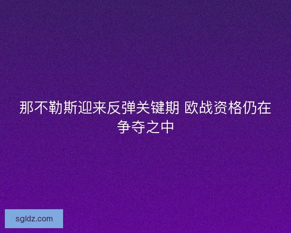 那不勒斯迎来反弹关键期 欧战资格仍在争夺之中