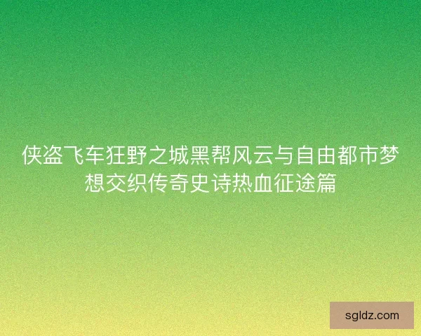 侠盗飞车狂野之城黑帮风云与自由都市梦想交织传奇史诗热血征途篇